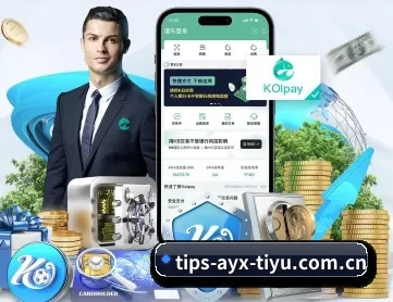 爱游戏体育平台 APP 深度功能