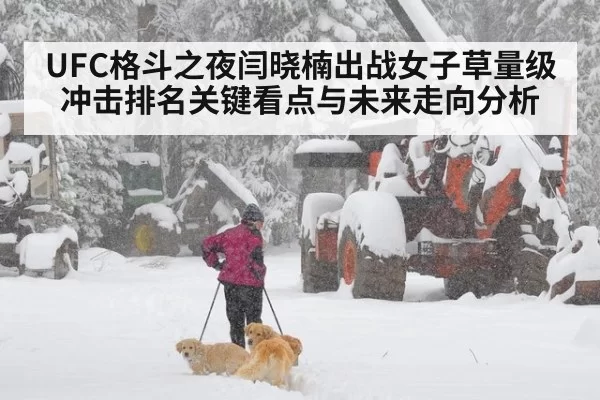 UFC格斗之夜闫晓楠出战女子草量级冲击排名关键看点与未来走向分析
